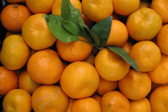 mandalina-2 mandalina-2