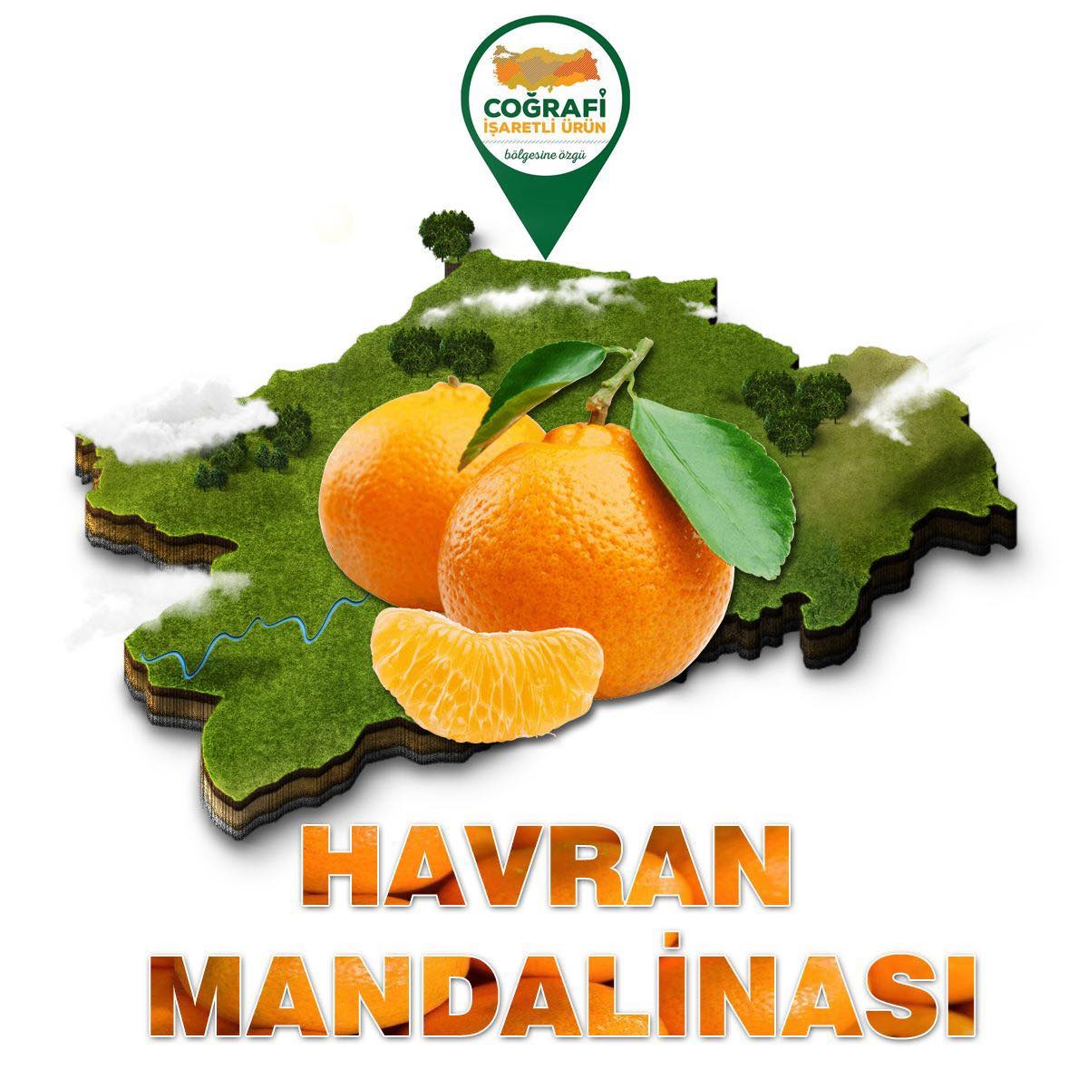 mandalina-1